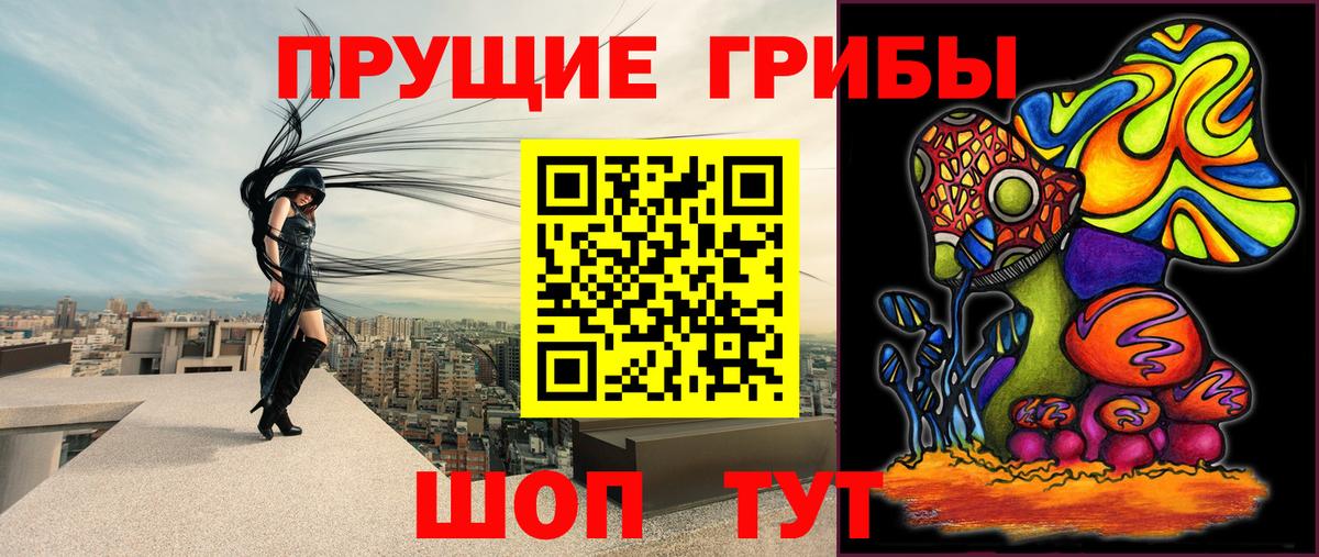 Псилоцибиновые грибы мухоморы Нефтекумск