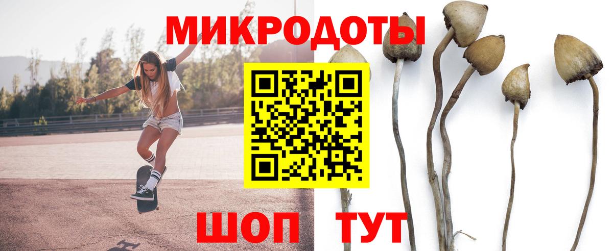 Нефтекумск  Псилоцибиновые грибы прущие грибы  Вход с VPN 